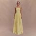 2025 European And American Cross-Border Summer Women's Solid Color Sleeveless Backless Slim Fit Ruched Tube Long Dress_ecoleips.com