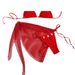 Women's Clothing Swimsuit Mesh Three Piece Split Bikini Women's Swimsuit_ecoleips.com