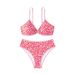 Krupp & Niko International Trade Women's Two Piece Swimsuit Set New Style_ecoleips.com