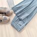 Women's Tencel Denim Jeans High Waist Slim Fit Straight Leg Wide Leg Korean Style Spring Summer Casual Ice Silk Flowy Pants_ecoleips.com