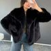 Women's Faux Fur Jacket With Oversized Lapel, Short Puffy Coat, Winter Fashion Outerwear, Fluffy Faux Fox Fur Collar, Street Style, Elegant & Trendy_ecoleips.com