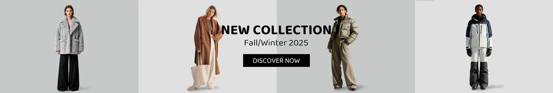 Ecoleips_coupon_banner