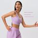 New U Neck High Strength Shockproof And Fixed Sports Bra For Women, Breathable, Beautiful Back, Fitness Yoga Bra D25066_ecoleips.com