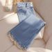 Women's Clothing Blue Denim Wide Leg Pants Thickened High Waist Slim Straight Casual Long Pants_ecoleips.com