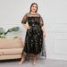 Women's Clothing Mesh Embroidered Banquet Party Long Dress 200 Pounds To Wear_ecoleips.com