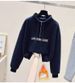 Retro Fleece Half-Zip Hoodie & Relaxed Haram Pants Set (70% Cotton, Unisex Winter Loungewear For Street Photography)_ecoleips.com