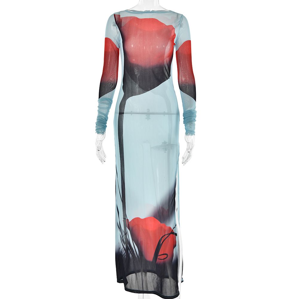 Women's Clothing New Summer Style Printed Round Neck Dress Fashionable And Sexy Mesh See Through Slit Long Skirt_ecoleips.com