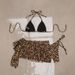 Women's Sexy Backless Bikini Set with Pleated Skirt 3 Piece Swimwear for Beach And Hot Spring_ecoleips.com