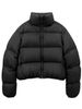 Brown Kendall Jenner Short Down Jacket Women, European Version, New Stand Collar, Thickened Puffer Jacket, Simple High_ecoleips.com