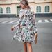 DiYun European And American Elegant Casual Printed Sleeve Long Dress Women's Clothing 2025 Autumn/Winter_ecoleips.com
