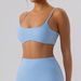 Women's Quick Drying Sports Vest Tops European American Style Tight Beauty Back Yoga Bra Fitness Clothes for Pilates_ecoleips.com