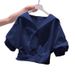 Women's French Style White Shirt Short Sleeved Versatile Light Luxury Design New Summer 2026_ecoleips.com