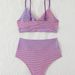 Women's Clothing New Striped Tight Fitting Sling Backless Sexy Split Swimsuit Female Bikini Set_ecoleips.com