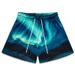 Men's Women's Cross Border American Casual Sports Shorts Printed Mesh Breathable Fitness Running Training Loose Fit above the Knee_ecoleips.com