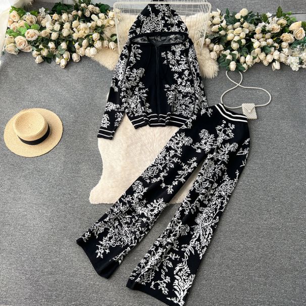 Fashion Suit For Women Spring And Autumn Ink Painting Jacquard Zipper Hooded Knitted Sweatshirt Two-Piece Set_ecoleips.com