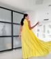 Spring/Summer Women's Elegant Pleated Full Skirt Pullover Button Loose Dress European American Style Best Selling_ecoleips.com