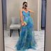 2025 Cross-Border European And American Spring Summer New Mesh Printed Strap INS Vacation Casual Party Dress_ecoleips.com