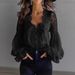 Women's Lace Patchwork Puff Sleeve Pleated Shirt European American Style Independent Website Clothing_ecoleips.com