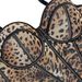 Women's Clothing Sexy Leopard Dot Pattern Splicing Bra Suspenders High End Inner Mesh Lace See Through Outer Wear Herringbone Bra_ecoleips.com
