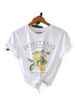 European And American Cross-border Foreign Trade Women's Clothing, Fruit Lemon Print Round-neck Short-sleeve T-shirt Top_ecoleips.com
