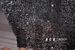 Euro Summer Sequin Lace Bralette – Glittering Halter Neck Crop Top With Sheer Mesh Back & Adjustable Ties (Festival, Club & Beachwear)_ecoleips.com