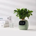 Garden Pots & Planters_ecoleips