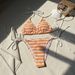 European And American New Striped Towel Cloth Small Fresh Sexy Split Swimsuit Bikini Bikini Cross Border Foreign Trade_ecoleips.com