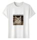 Women's T-Shirts Tshirt Muscle Freaks Meme Style Angry Cat_ecoleips.com