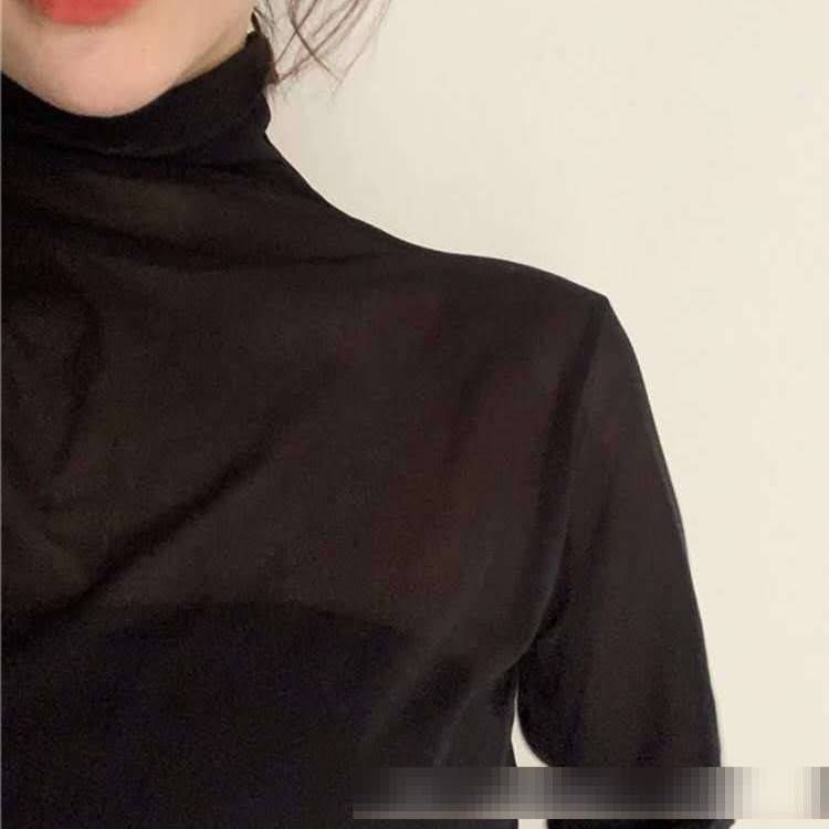 Women's Clothing Sheer Mesh High-Neck Blouse - Elegant Lace Layering Top For Women (One Size, Breathable Office & Date Night Essential)_ecoleips.com