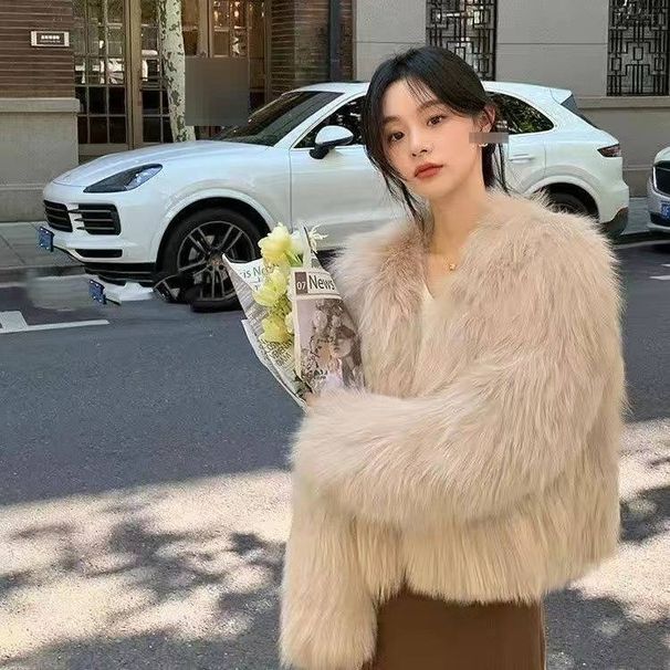 Trendy Korean-Style Faux Fox Fur Coat, Short Plush Jacket For Women, Winter Warm & Stylish Outerwear In Beige, White, Black & Light Grey_ecoleips.com