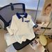 Plus Size Korean Style Women's Fashion Casual Sportswear Set Embroidered Shirt And Shorts Two Piece_ecoleips.com