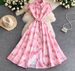 Youthful French Style Embroidered Print Dress With Raglan Sleeves Button Down Waist Cinching Long Light Luxury Summer Dress_ecoleips.com