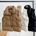 Aria Basics New Short Style Stand-up Collar Stylish Down Cotton Vest Women, Suitable For Spring, Autumn, And Winter, Korean Version,_ecoleips.com