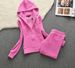 Women's Velvet Two Piece Set Spring Autumn Casual Sports Suit Solid Color Hooded Cardigan Straight Leg Pants_ecoleips.com