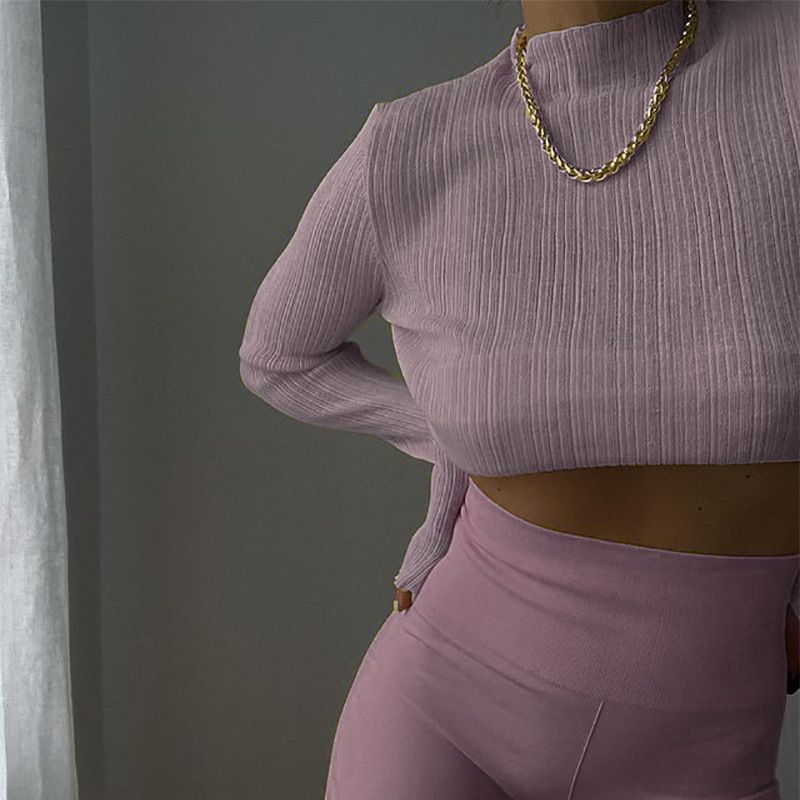 Women's Long Sleeved Mesh T-Shirt Solid Color High Neck Slim Fit See through Top for Early Autumn_ecoleips.com