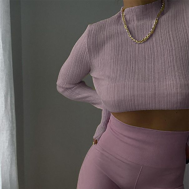 Women's Long Sleeved Mesh T-Shirt Solid Color High Neck Slim Fit See through Top for Early Autumn_ecoleips.com