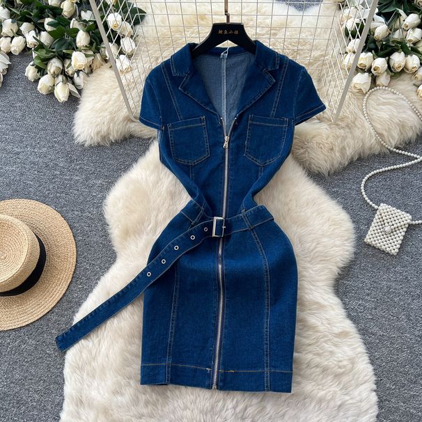 French Retro Style Women's Denim Dress High Waisted Slimming A-Line Skirt Korean Summer Lapel Zipper_ecoleips.com