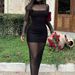 YD398 European And American Early Spring New Mesh See-through Sexy Mature Lady Style Tight-fitting High-neck 2-piece_ecoleips.com
