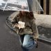 Unisex Fleece Jacquard Pullover High Neck Half-Zip Sweatshirt Winter Warm Floral Print Loose Fit Smart Half-Zip_ecoleips.com