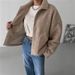 Oversized Fleece Jacket Women’s – Short Plush Zip-Up Coat With Stand Collar & Long Sleeves (S-XXL, Polyester, Casual Streetwear)_ecoleips.com