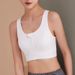 One-Piece Front Zipper Sports Shockproof High-Intensity Fixed Cup Outer Wear Beautiful Back Fitness Yoga Vest Bra_ecoleips.com