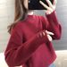 Women's Semi-Turtle Neck Sheep Velvet Sweater Embroidered Loose Knit Top For Autumn Winter Korean Style Casual Chic_ecoleips.com