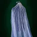 Hair Jewelry Cathedral Veil With Crystal Beading 1 Tiers Sier Dia Beaded Tulle White Wedding Accessories For Bride_ecoleips.com