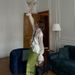 Women’s Clothing Women's Fashion Sexy See Through Blouse Tops Summer New Style Trumpet Sleeve Design French Shirt_ecoleips.com