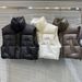 Women's Clothing New spring style, the same style as the Internet celebrity, niche style, hot girl street blasting, warm cotton padded vest jacket_ecoleips.com