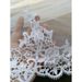 Bridal Veil With Lace Edging – Double-Layer Short Wedding Veil (60-80cm, 4 Colors) Adjustable Comb Clip_ecoleips.com