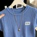 Blue Embroidered Knitted Top For Women Short Sleeve Inner Layer Base T-Shirt New Summer Real Photos_ecoleips.com