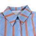 Women's Clothing Early Spring New Fashion Elegant Casual Contrast Color Striped Shirt Loose Long Sleeves_ecoleips.com