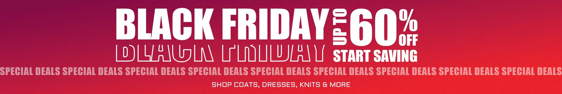 Ecoleips_coupon_banner