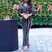 2027 Spring Autumn Fashion European-USA Style Women Polyester Sexy V-Neck Mid Waist Striped Vent Long Sleeve Sheath Pencil Dress S-2XL_ecoleips.com